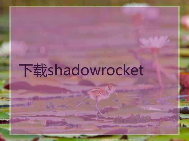 下载shadowrocket