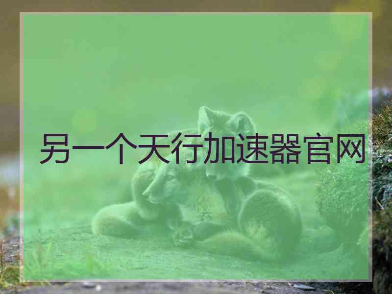 另一个天行加速器官网