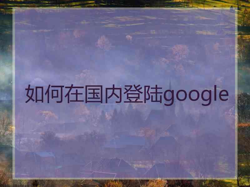 如何在国内登陆google