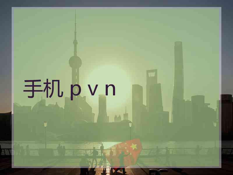 手机 p v n