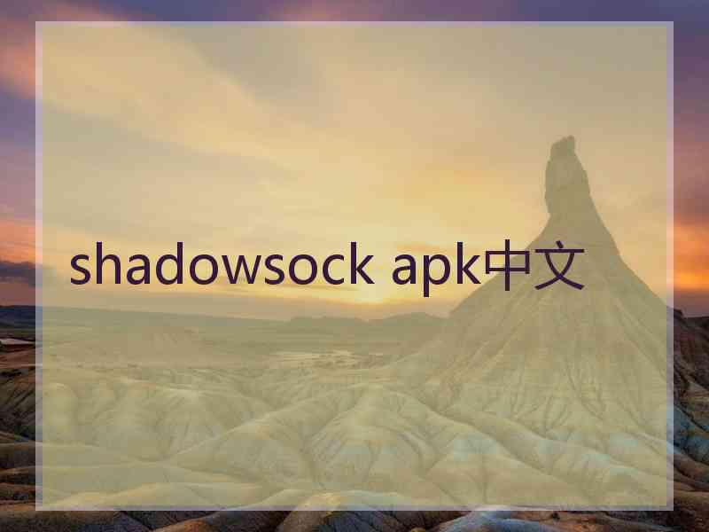 shadowsock apk中文