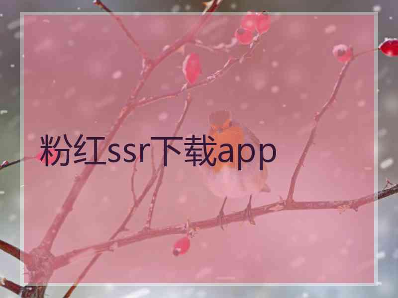 粉红ssr下载app