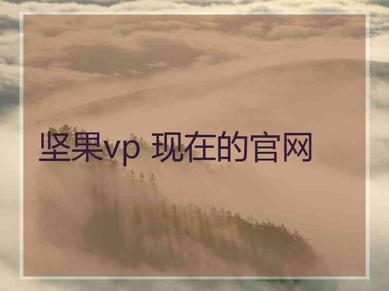 坚果vp 现在的官网