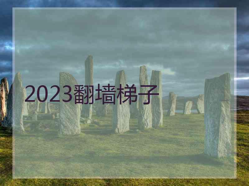 2023翻墙梯子