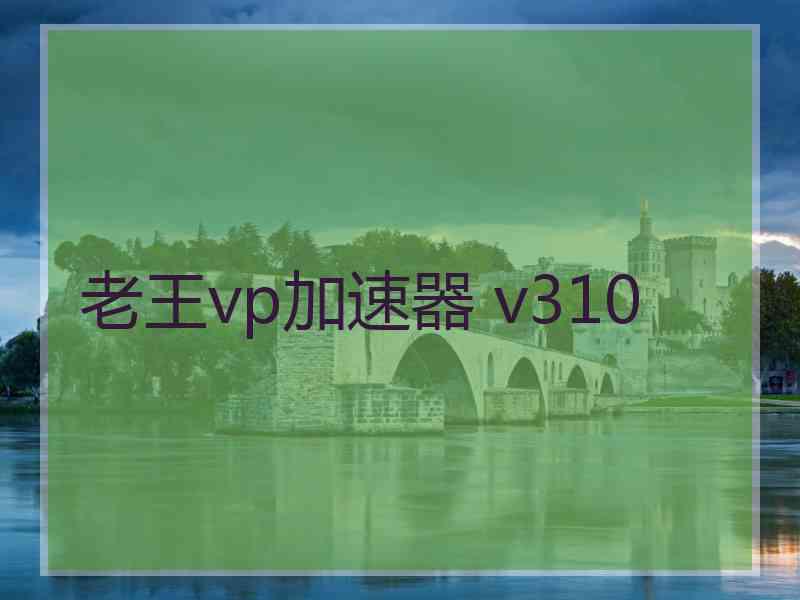 老王vp加速器 v310