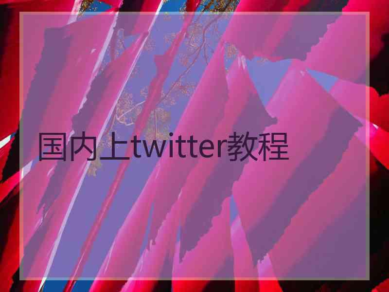 国内上twitter教程