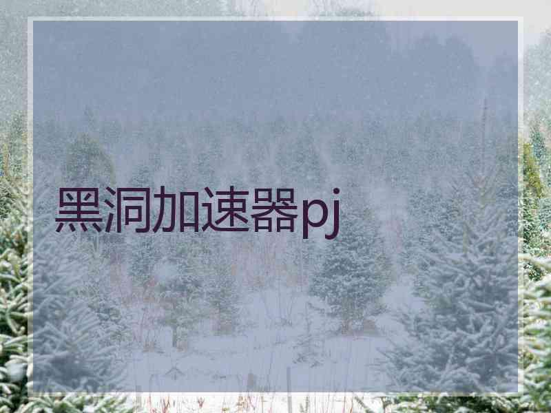 黑洞加速器pj