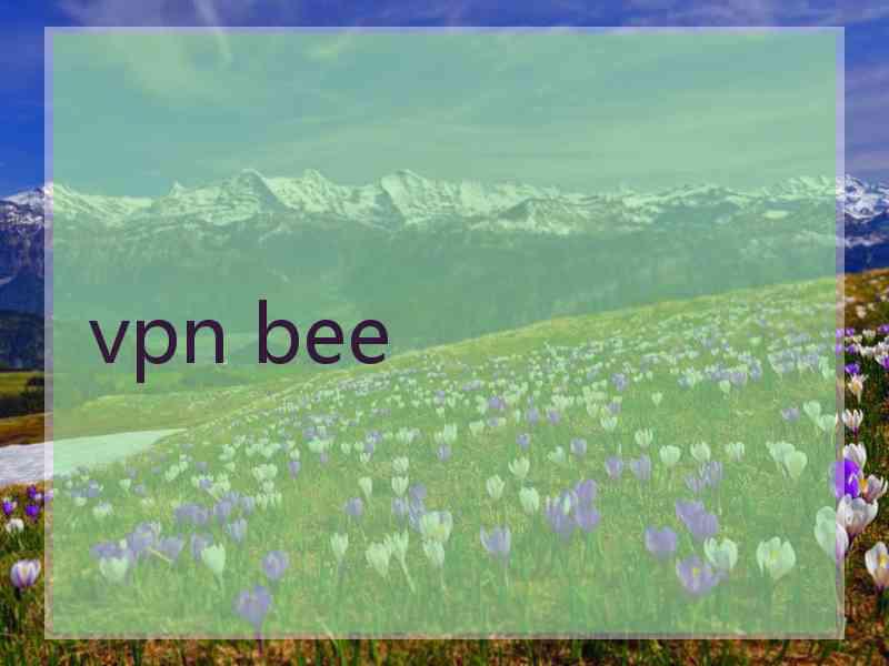 vpn bee