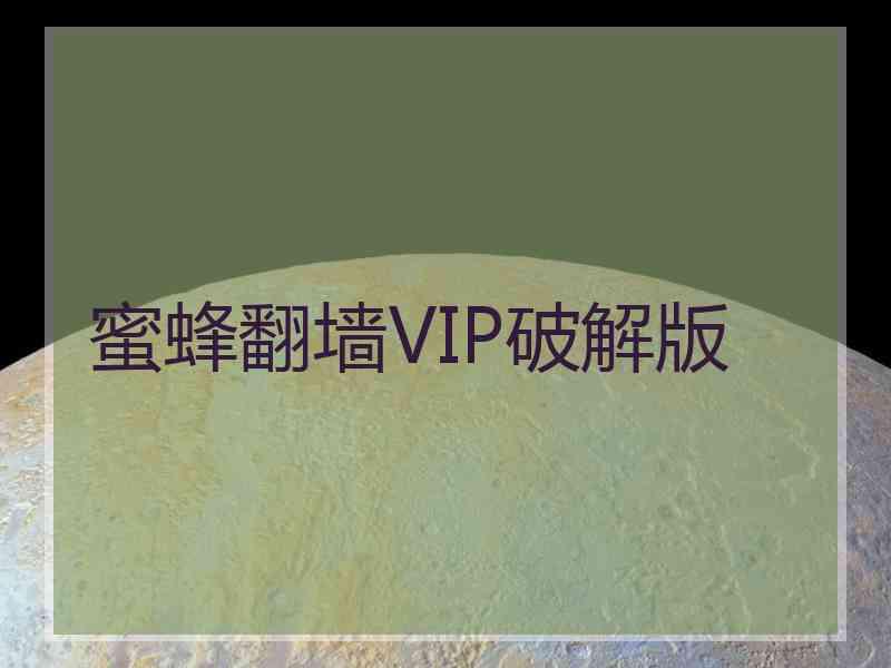 蜜蜂翻墙VIP破解版