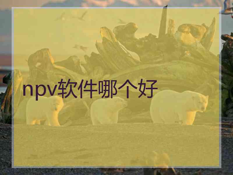 npv软件哪个好