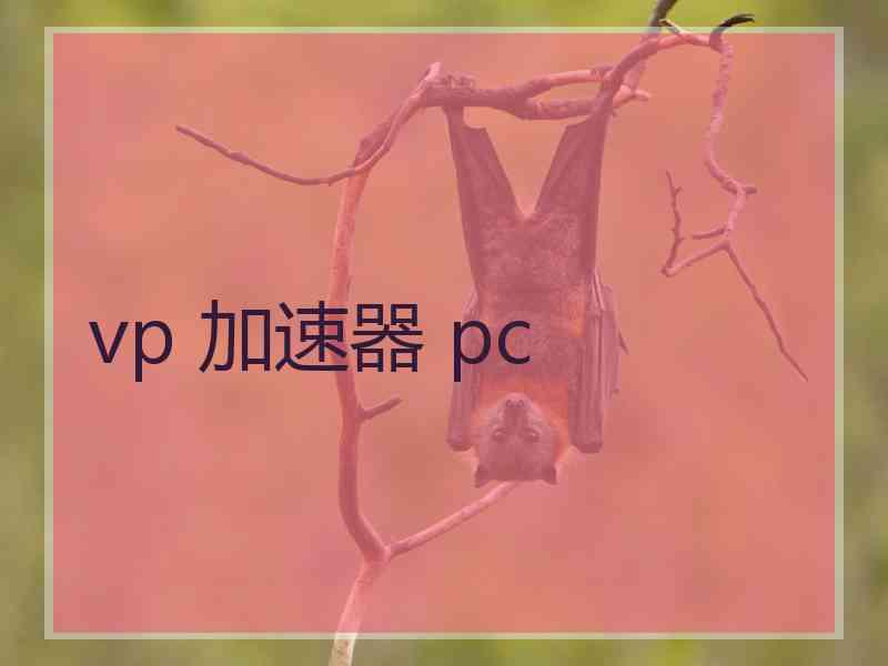 vp 加速器 pc