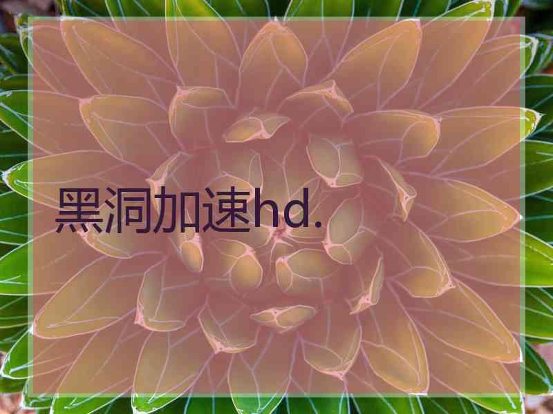 黑洞加速hd.