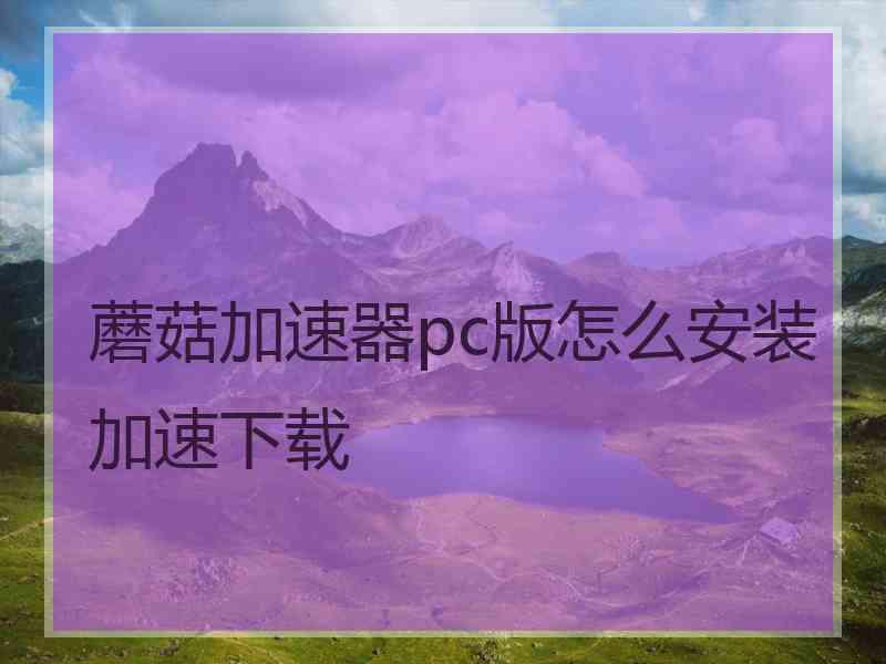 蘑菇加速器pc版怎么安装加速下载