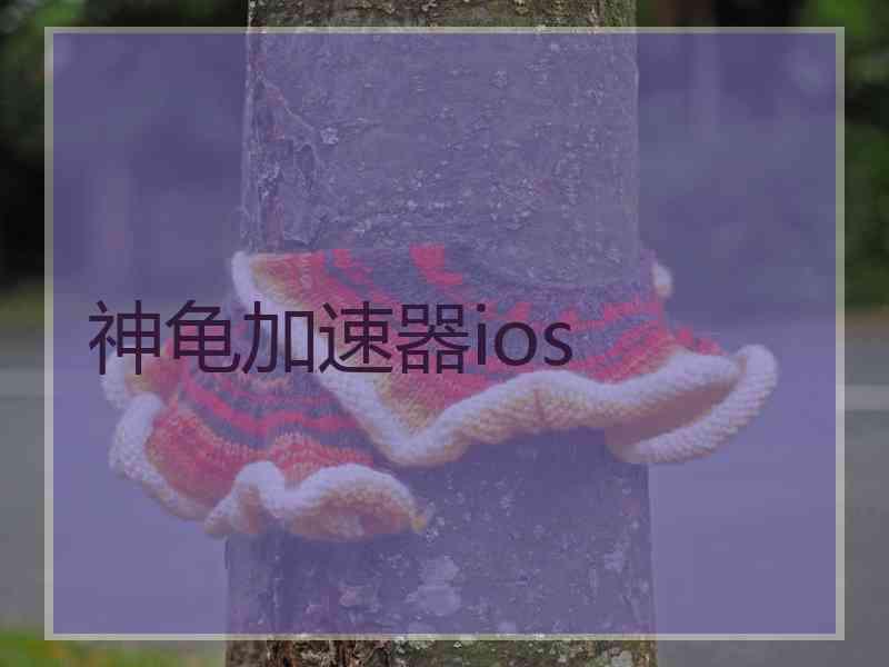 神龟加速器ios