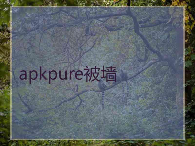 apkpure被墙