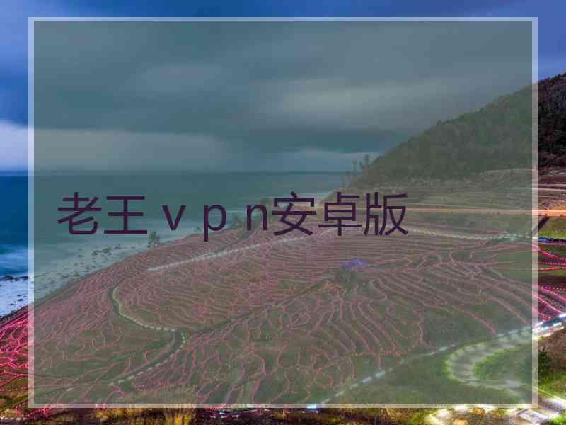 老王 v p n安卓版