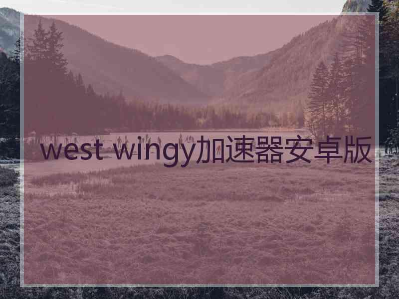 west wingy加速器安卓版