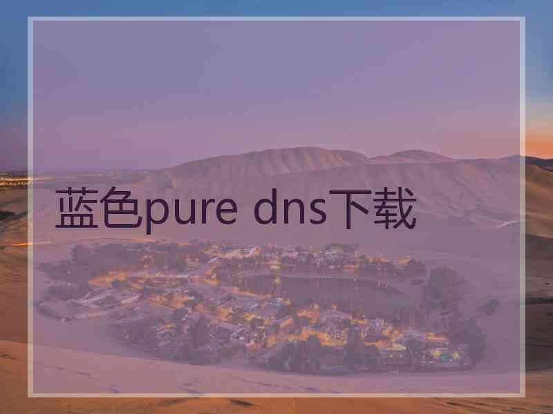 蓝色pure dns下载